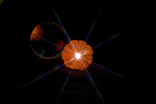 Christine Diegelmann<br>Mandarine