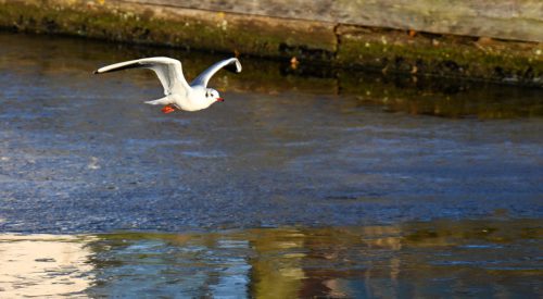 Sven Sander<br>Abflug
