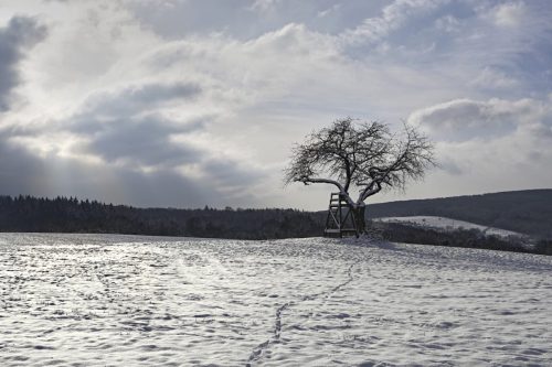 Dagmar Lörzer<br>Sonnenweg