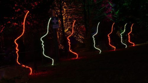 Harald Schröter<br>Winterlichter