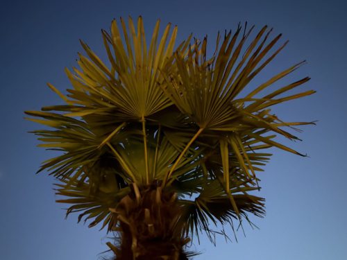 Christina Krasa<br>Sommerabend im Parkbad