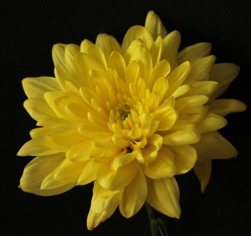 22_FSSV_CM_003