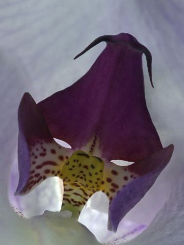 22_MTK11_fotoschau-adzB_01
