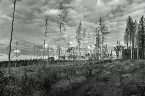 22_MTK11_fotoschau_07