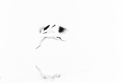 22_MTK11_fotoschau_21