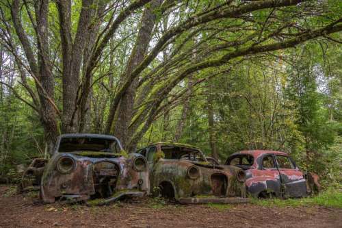 Autofriedhof in Schweden - co/ Heidi Seelig