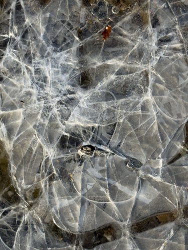 Christina Krasa<br>Glatteis