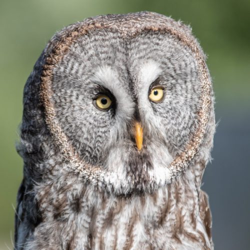 509_Fotografen_stellen_sich_vor_TWF_04_1819x1819