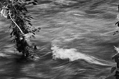 Wasser
