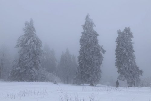 Jochen von Kiel<br>Winter Impressionen