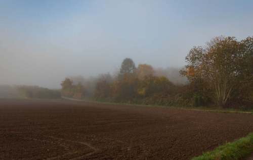 Das Hochfeld im Herbst_r02