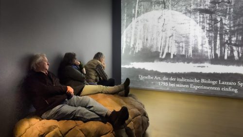 Horst Debnar Daumler<br>Sinclair Haus