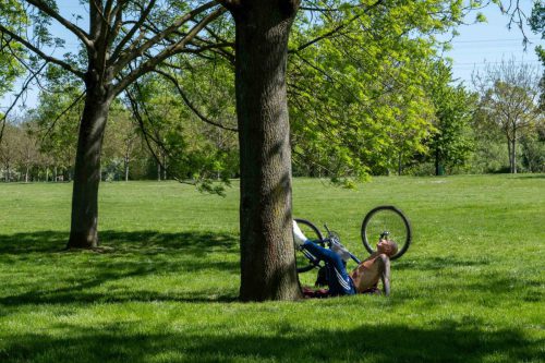 Horst Debnar Daumler<br>Frühling