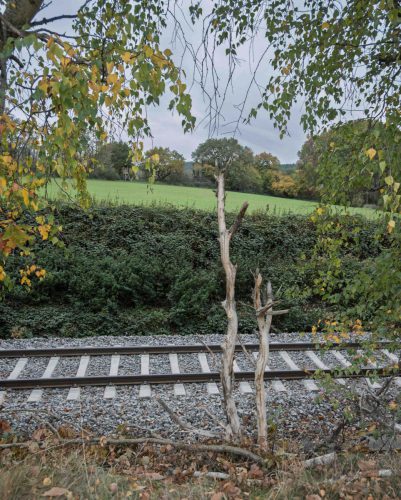 Christina Krasa <br>Herbstspaziergang