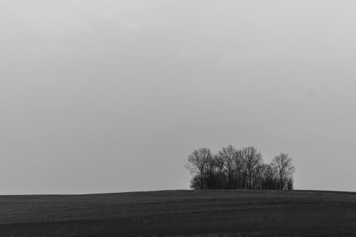 Ingrid Steinmel<br>Waldkind