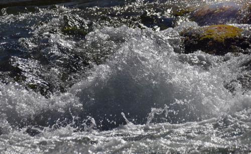 Isar der wilde Fluss