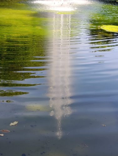 Spiegelung