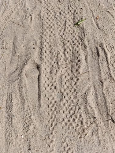 Spuren-