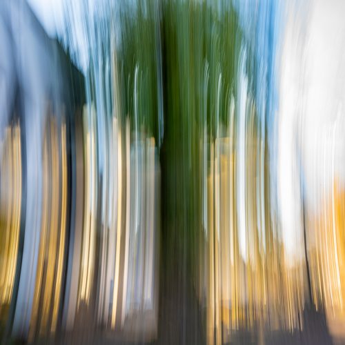 Thomas Wiegand<br>Baum