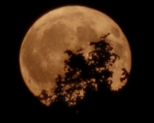 Willy Dietz<br>Vollmond