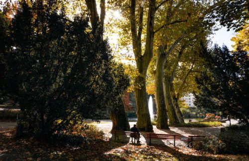 Carol Wanske<br>Goldener Oktober