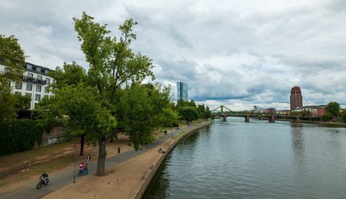 Carol Wanske<br> FFM ostwärts blickend