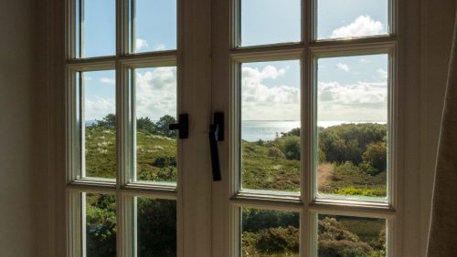 Carol Wanske<br>looking at the world from my window