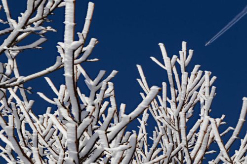 Gert Gutberlet<br>Winterinspiration