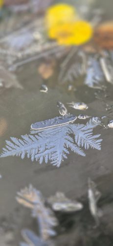 Karin Hasenbach<br>Eiskristall