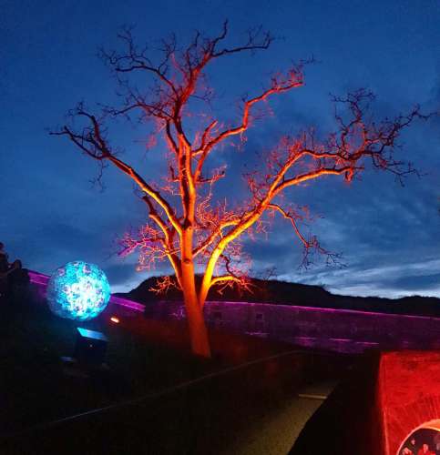 Winterlichter